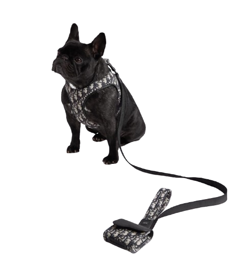 CHRISTIAN DOG HARNESS AND LEASH