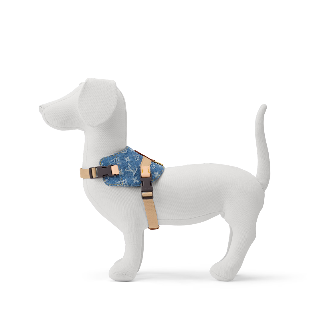 LV DOG HARNESS AND LEASH (BLUE DENIM)
