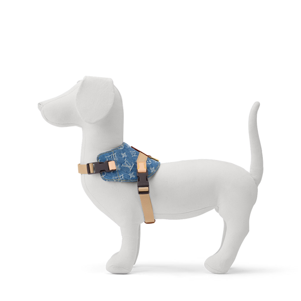 LV DOG HARNESS AND LEASH (BLUE DENIM)