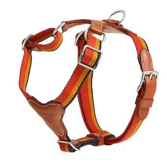 HERMES DOG HARNESS AND LEASH (STRIPES)