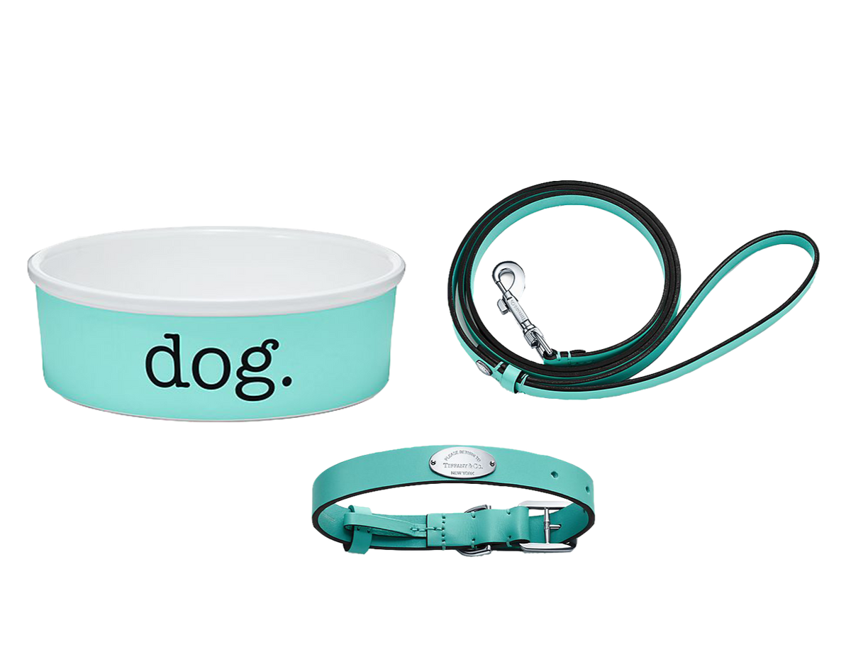 TIFFANY DOG BOWL, COLLAR AND LEASH