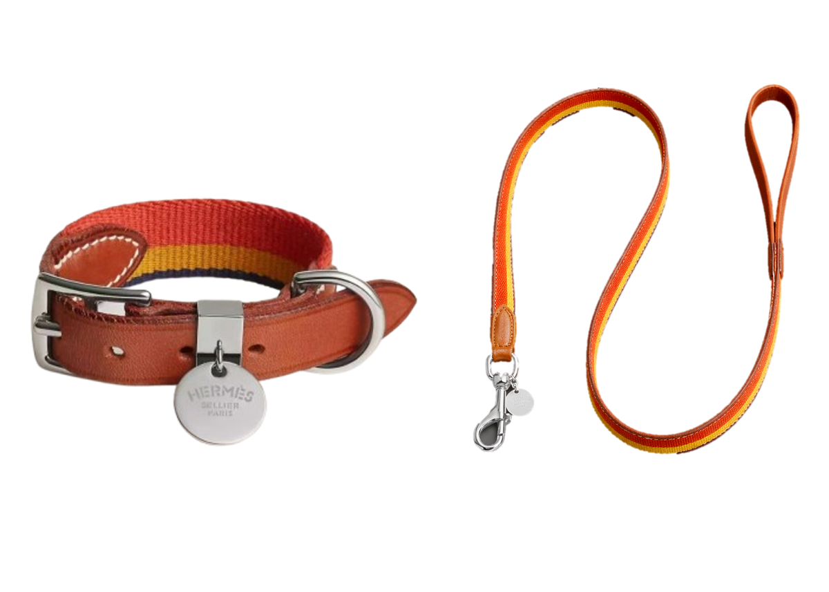 HERMES DOG COLLAR AND LEASH (STRIPES)