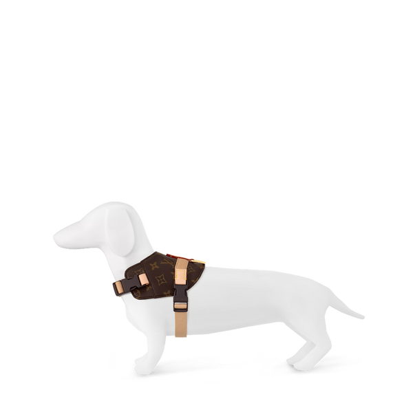 LV DOG HARNESS AND LEASH (BROWN)